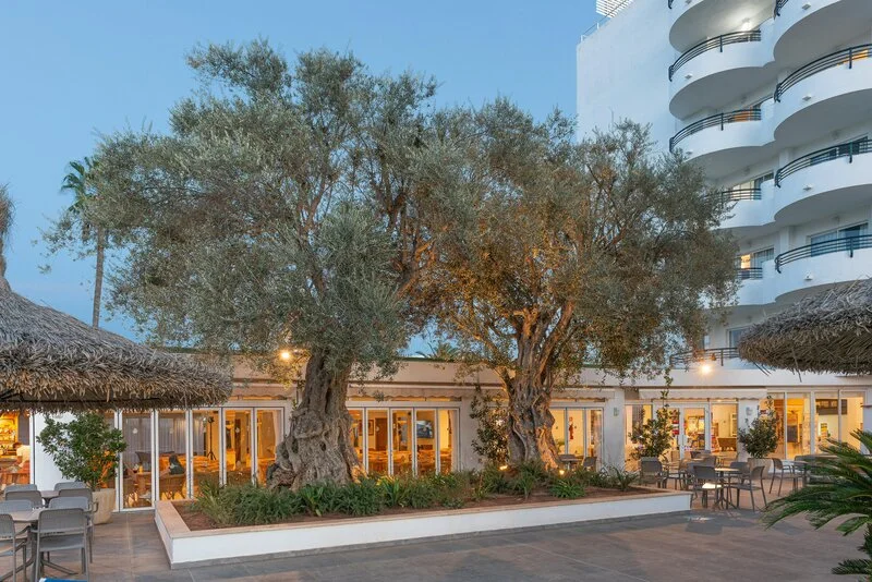 Aparthotel Alcudia Beach