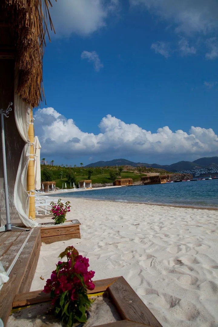Palmalife Hotel