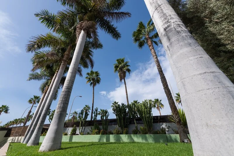 Eo Maspalomas Resort
