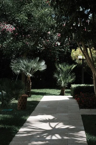 View More
