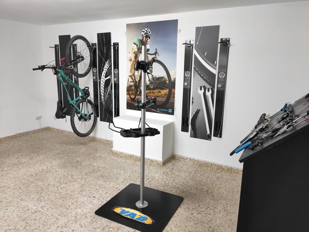Gallery 5