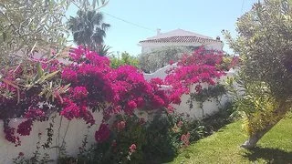 View More