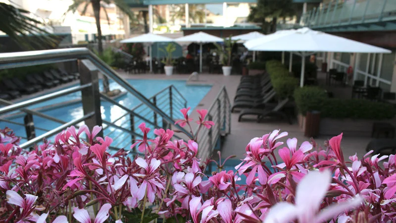 Hotel Kaktus Playa (adults Recommended)