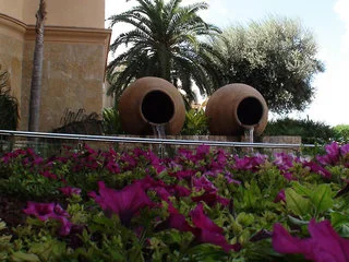 Gallery 5