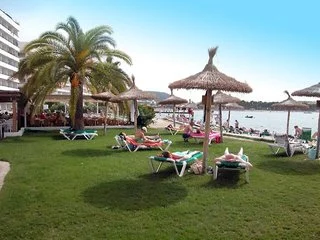 View More
