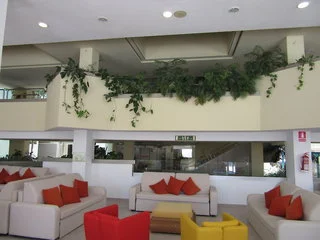 Paradise Park Fun Lifestyle Hotel