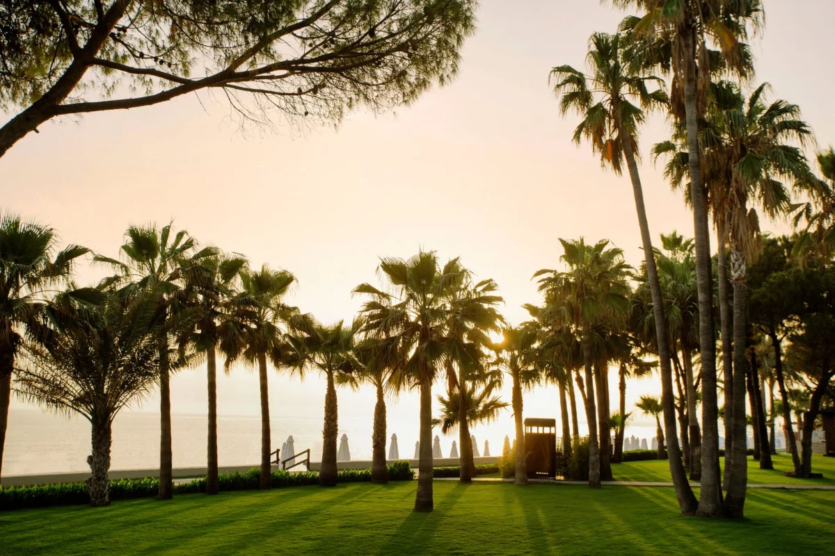 Acanthus Cennet Barut Collection