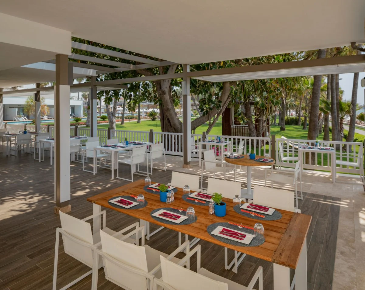 Acanthus Cennet Barut Collection