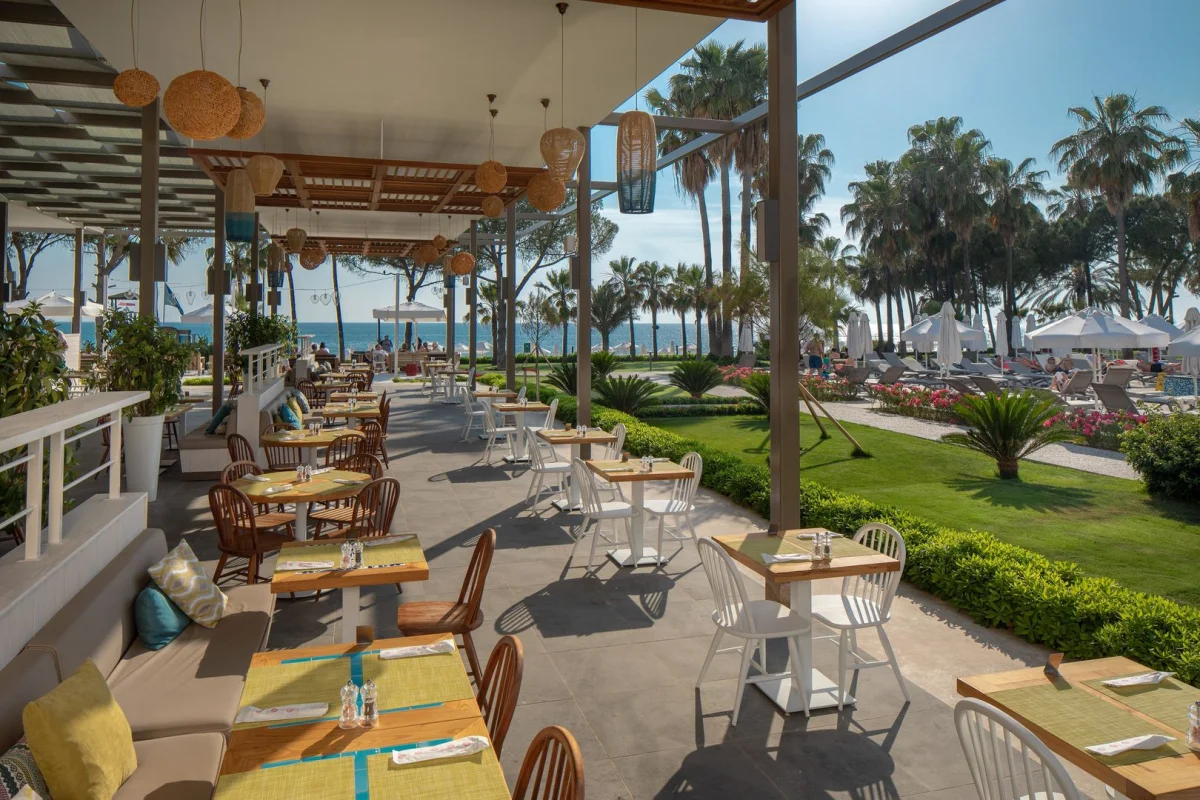 Acanthus Cennet Barut Collection