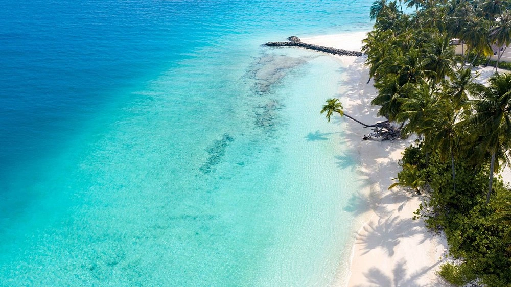 View More