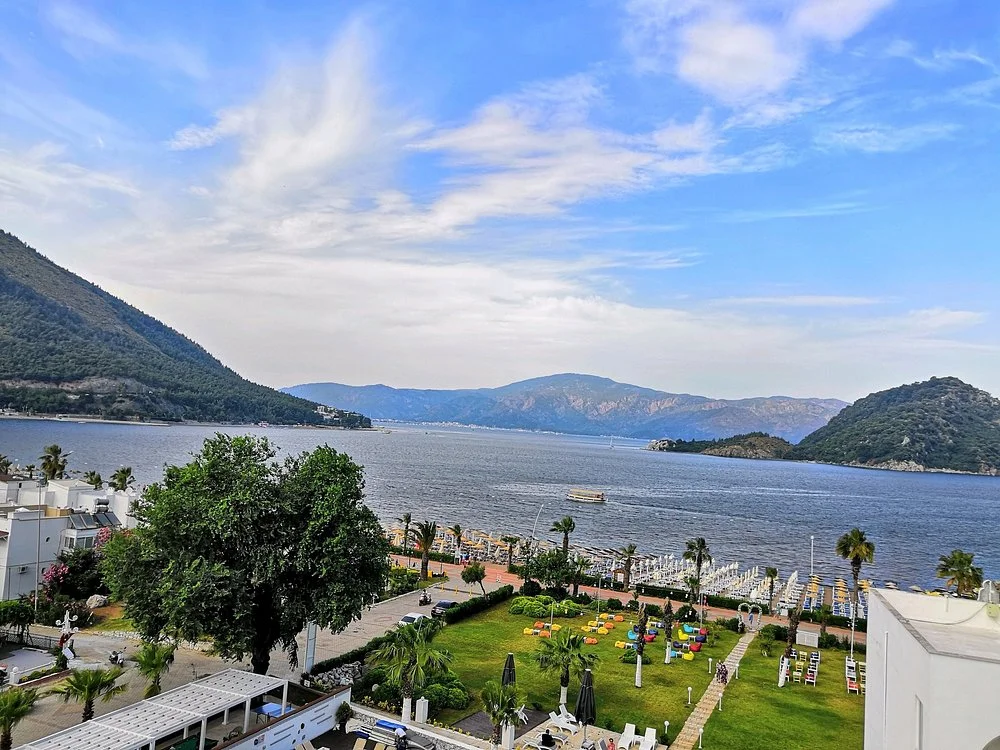 View More