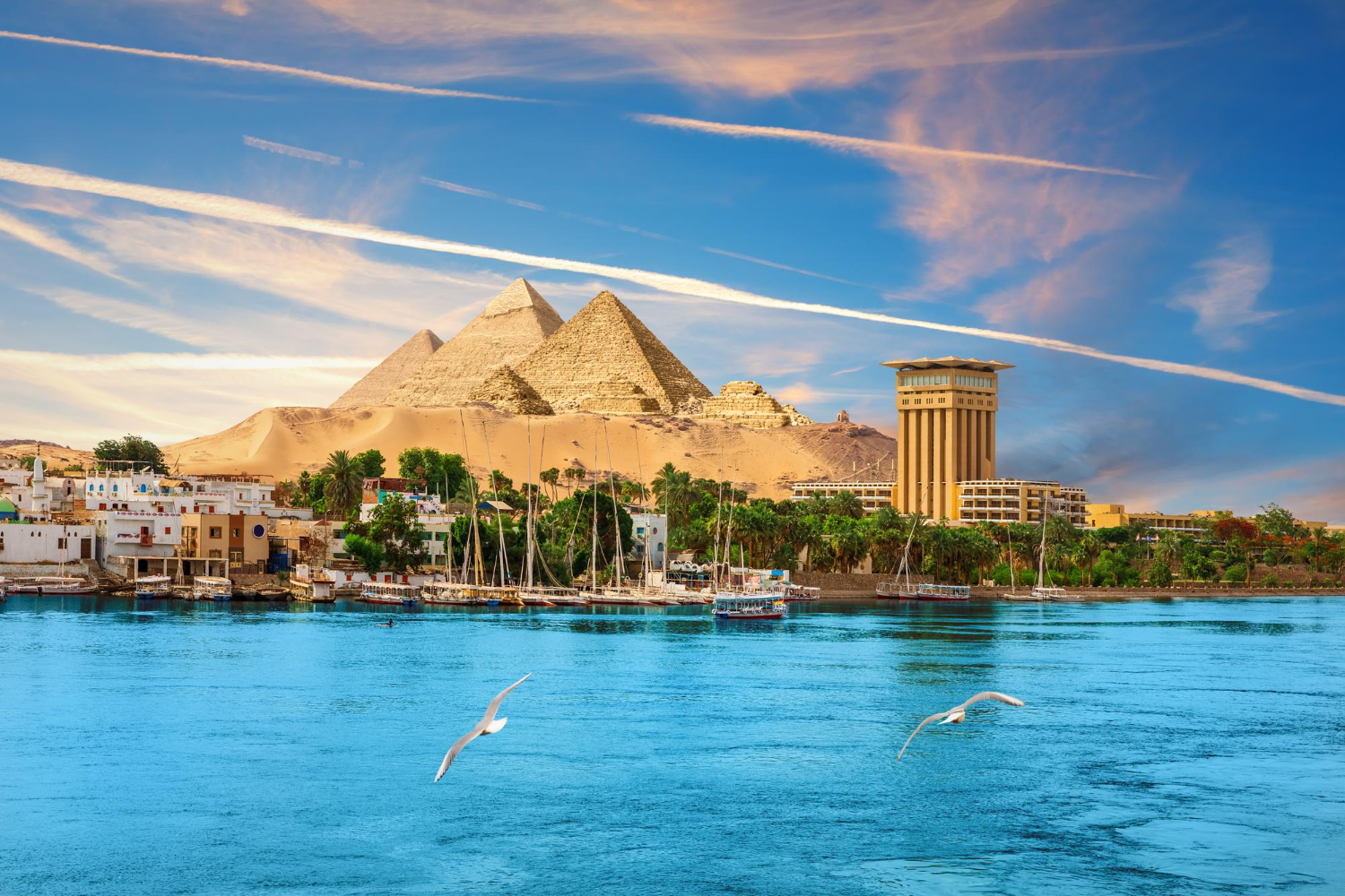 Dream of the golden nile